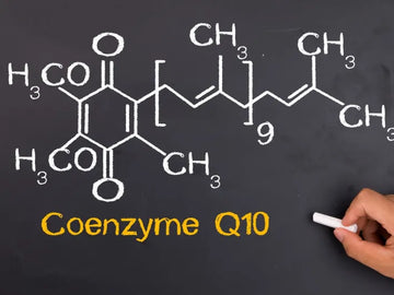 Ubiquinone vs Ubiquinol: The Honest Difference