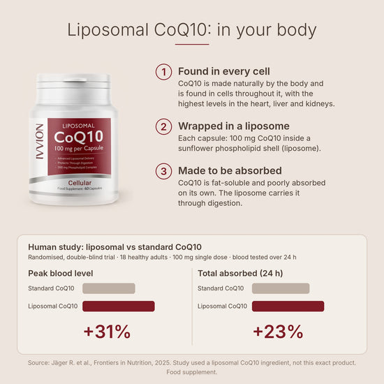 Liposomal CoQ10 in your body and human absorption study