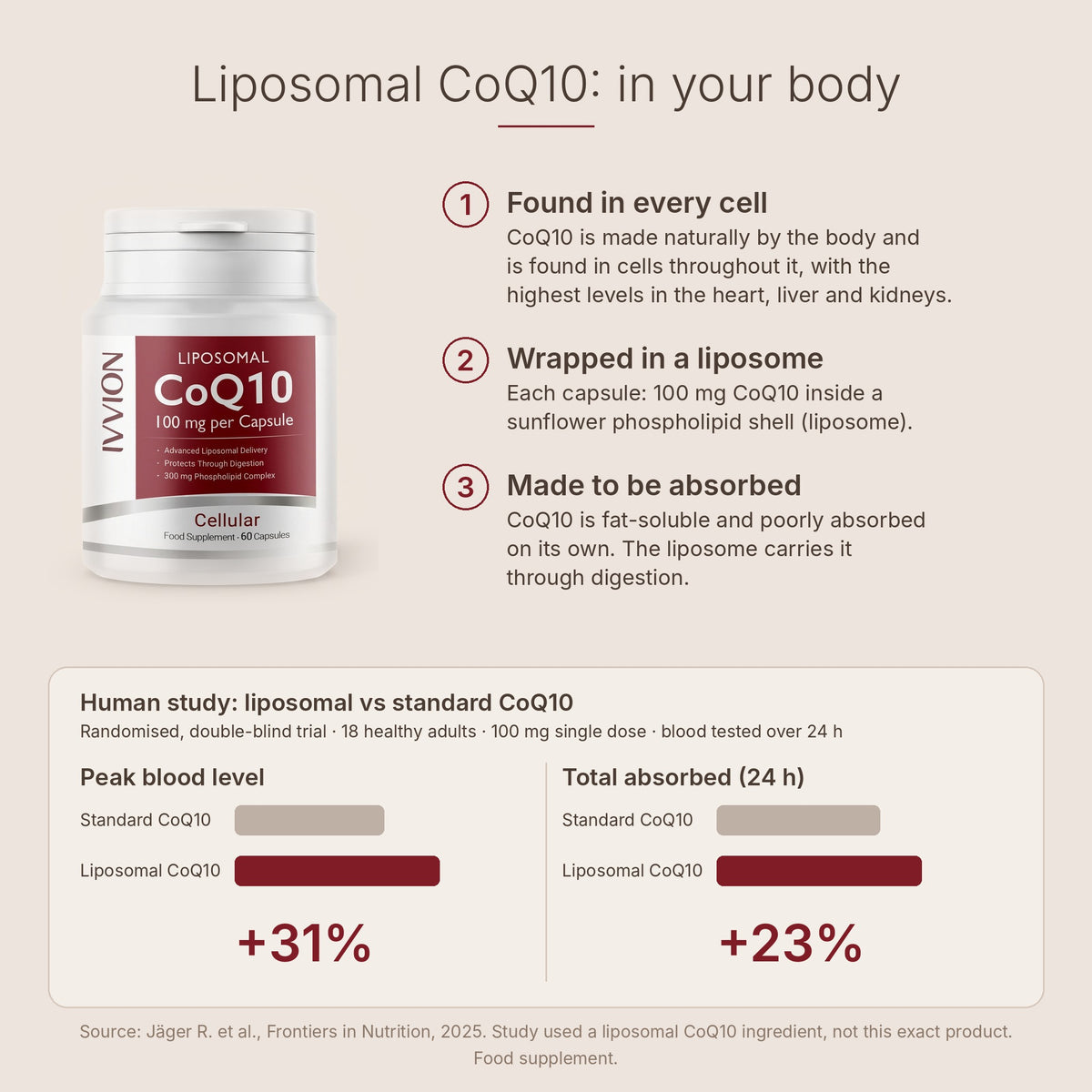 Liposomal CoQ10 in your body and human absorption study
