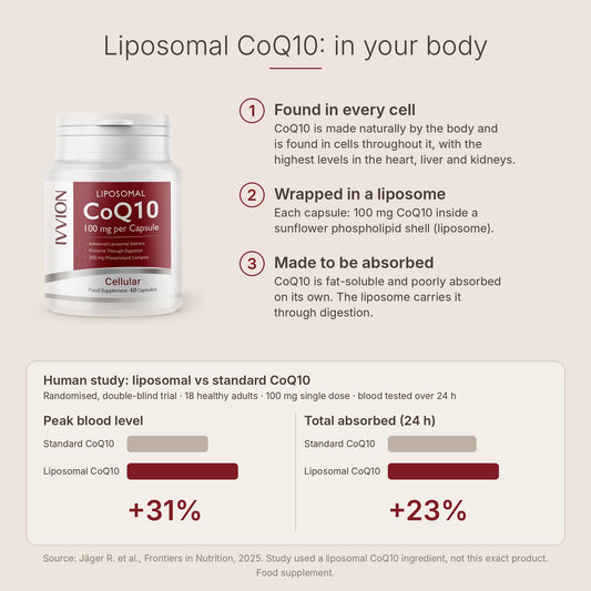 Liposomal CoQ10 in your body and human absorption study